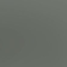 Glass Vogue Casa Roma ®  Ash (2”x8” Polished) Ash CASMG05228