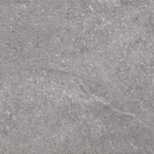Ecoproject Casa Roma ®  Grey (12×24 Rectified) Grey CASPF00012819