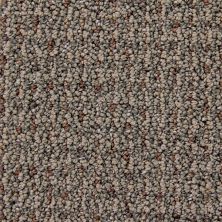 Richmond Carpet Cashmere Runway Style RIC2903CASH