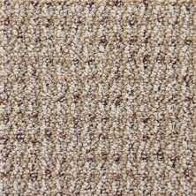Richmond Carpet Cashmere Fashion Neutral RIC2905CASH