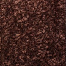 Richmond Carpet Satin Classic Eggplant RIC3163SACL