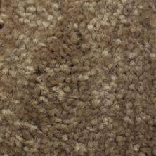 Richmond Carpet Regal Supreme Moccasin RIC3174RESU