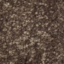 Richmond Carpet Satin Supreme Tamarind RIC3175SASU