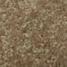 Richmond Carpet Regal Classic Barn Wood RIC3177RECL