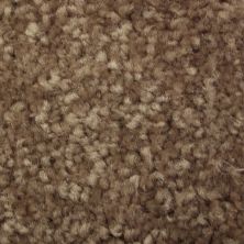 Richmond Carpet Regal Supreme Scented Beige RIC3178RESU