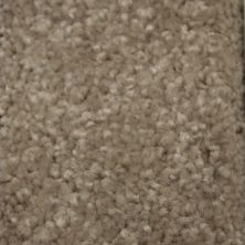Richmond Carpet Satin Supreme Birch Bark RIC3183SASU