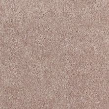 Richmond Carpet Touch Down Burnished Taupe RIC3918TOUC