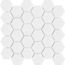 Wall Art Casa Roma ®  White (Matte Hexagon Mosaic) White SAN51075