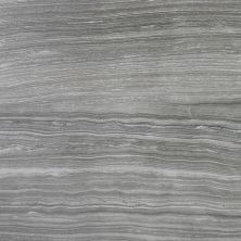 Algonquin Limestone Casa Roma ®  Carbon (12″x24″) Carbon SAN69177