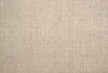 Antrim Fine Weave ARRIETA GREIGE ARRIE-22804-15-0-CT