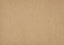 Stanton Cabo II Maize CABII-33161-13-2-WV
