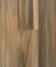 Stanton Nuvo Lux 8 Lowland Valley Redwood FAHIC-20141-848