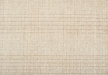 Antrim Fine Weave INDRA WHITEWASHED INDRA-26103-15-0-AB