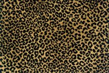Stanton Tranquil Evening Gold Black TRQUE-86715-13-2-WV