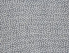 Rosecore Maddox Cheetah Sky MADCH-20944-13-2-WV