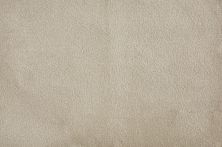 Stanton Atelier Marquee MELODY CORD MLODY-22672-13-2-SB