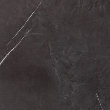 Stanton Hard Surface Natural Beauty Stone Nero Marquina BLACK NEROM-13511