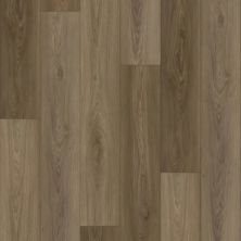 Stanton Natural Beauty Basics – Old World Hazelnut Harvest 60113