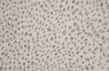 Rosecore Paxton Cheetah Platinum PAXCH-30072-13-2-WV
