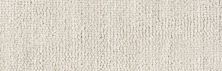 Antrim Silken Collection RAVISH PLATINUM RAVIS-80901-15-0-CT