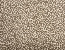 Stanton Leopard Dune LEPRD-17909-13-2-WV