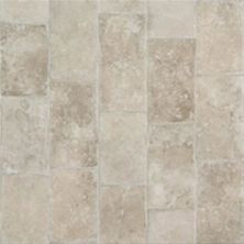 Tarkett Easy Living™ Colorado Stone White Dove 14221