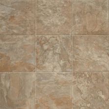 Tarkett Easy Living™ Capri Spicetone 14301
