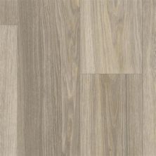 Tarkett Trutex Corawood Barley 27001