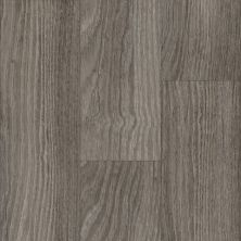 Tarkett Protuff American Chestnut, Cloud 220505011