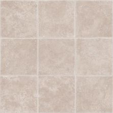 Tarkett Protuff Tumbled Stone Oatmeal 45191