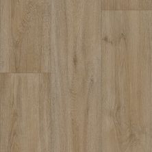 Tarkett First Class Newport Natural 87001