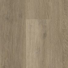 Tarkett Nugen™ Cape Cod, Hartford 270293013