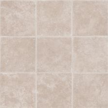 Tarkett Protuff Tumbled Stone, Oatmeal 220505191