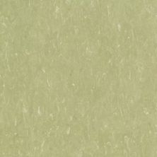 Tarkett VCT II Green Grape VCTII-526