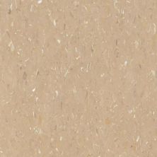 Tarkett VCT II Military Tan VCTII-527