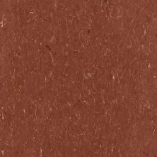 Tarkett VCT II Doeskin Brown VCTII-528