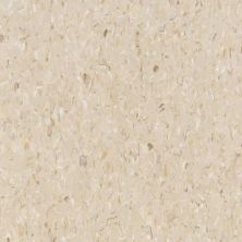 Tarkett VCT II True Beige VCTII-533