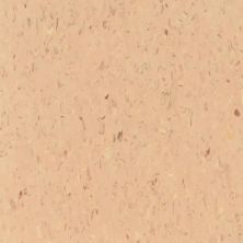 Tarkett VCT II Earth VCTII-571