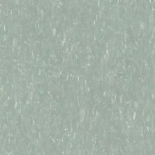 Tarkett VCT II Meadow VCTII-588