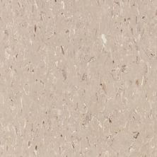 Tarkett VCT II Mushroom VCTII-593