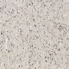 Tarkett VCT II Daylight Sr VCTII-873
