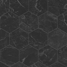 Tarkett Trutex Nero Hex Black 27132