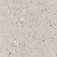 Tarkett VCT II Pewter VCTII-509