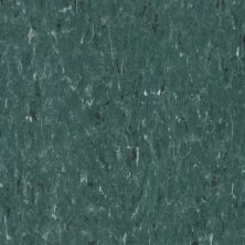 Tarkett VCT II Dark Forest VCTII-524