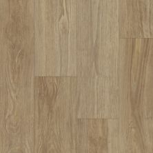 Trucor Applause Collection by TRUCOR Meringue Chestnut FSVAIS_P1045-D8192