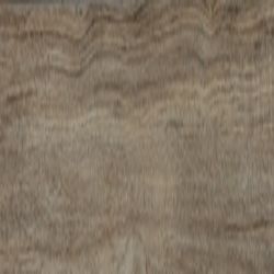 Daltile Adventuro Forest