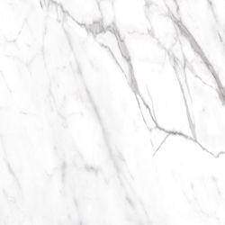 Daltile Costar Calacatta Empire