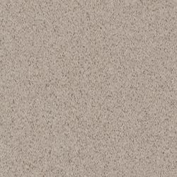 Daltile Harmonist Bliss