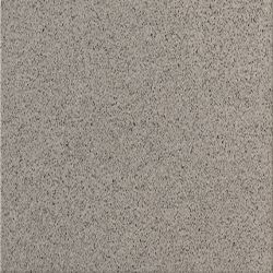 Daltile Harmonist Composure