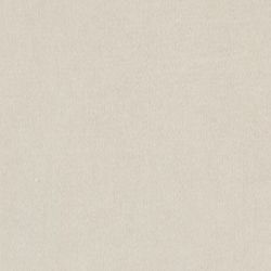 Daltile Prime White